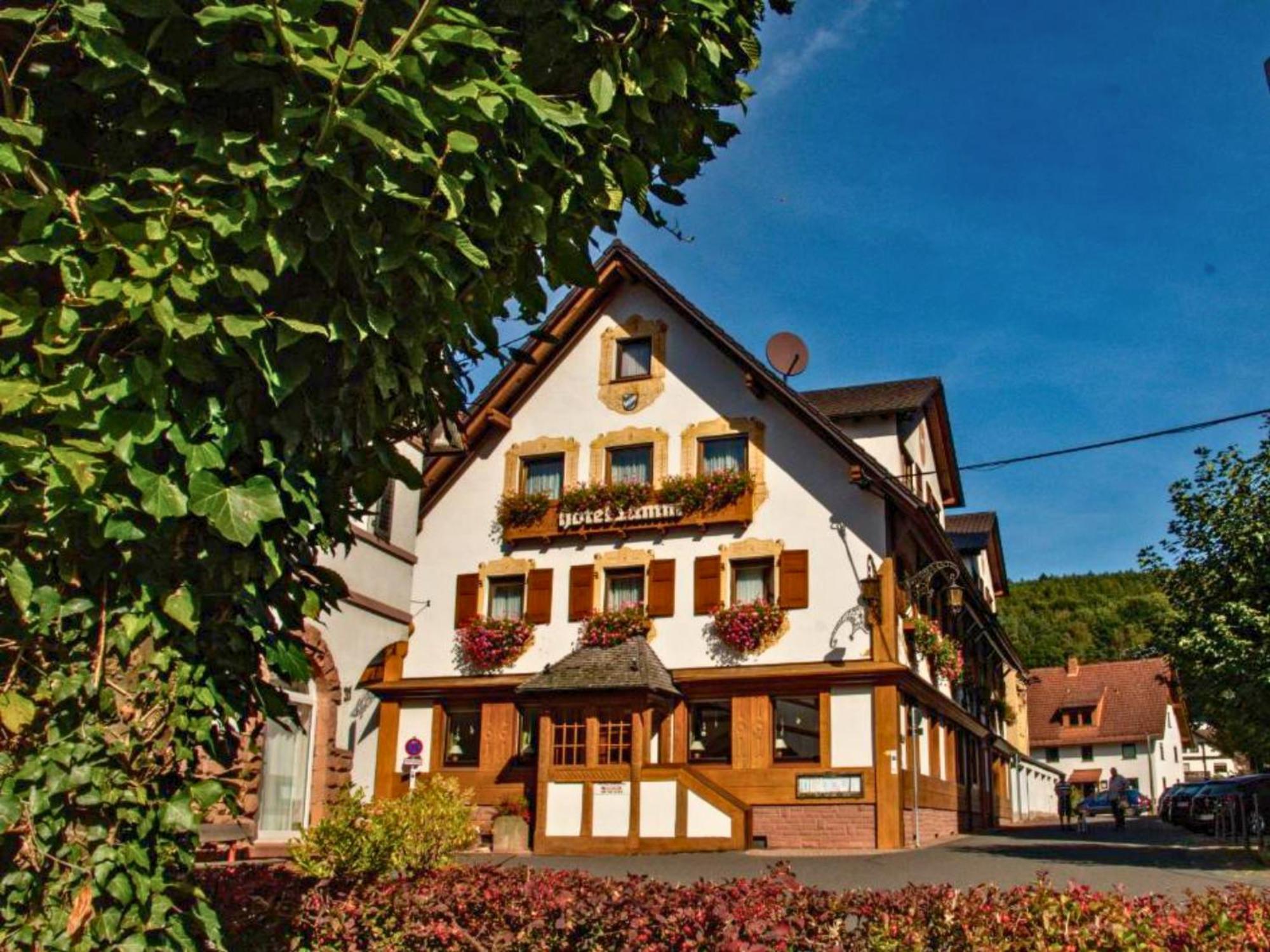 拉姆酒店 Heimbuchenthal 外观 照片